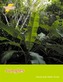Jungles