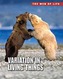 Variation in Living Things