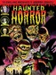 Haunted Horror The Screaming Skulls! And Much More