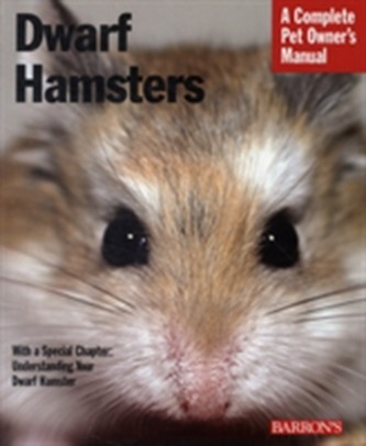 Dwarf Hamsters
