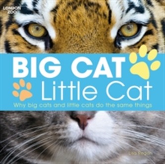 Big Cat, Little Cat