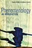 Phenomenology - an Introduction