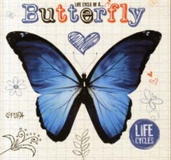 Life Cycle of a Butterfly