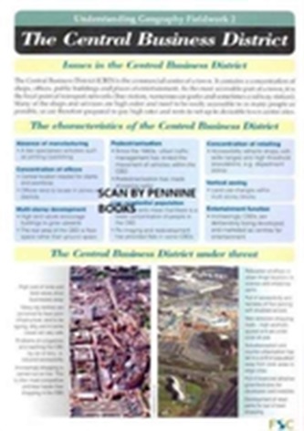 The Central Business District