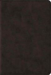ESV Large Print Compact Bible
