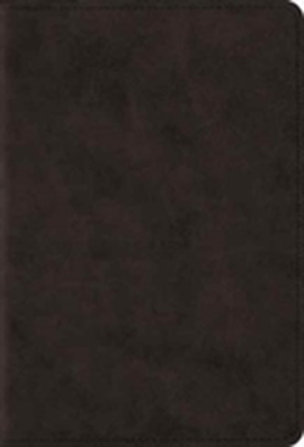 ESV Large Print Compact Bible