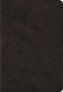 ESV Large Print Compact Bible