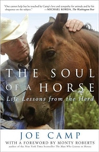 The Soul Of A Horse