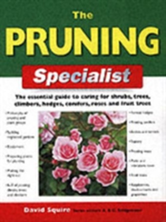 The Pruning Specialist