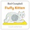 Fluffy Kitten