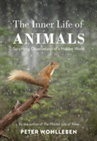 The Inner Life of Animals