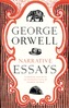 Narrative Essays