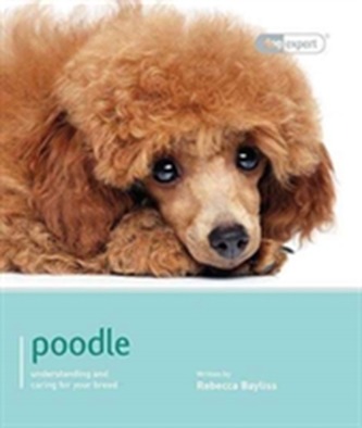 POODLE