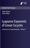 Lyapunov Exponents of Linear  Cocycles