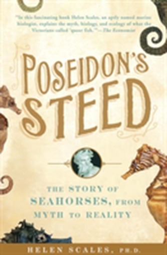 Poseidon's Steed