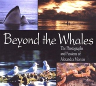 Beyond the Whales