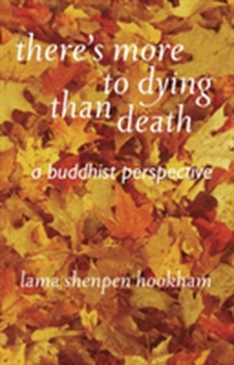There's More to Dying Than Death: A Buddhist Perspective