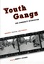 Youth Gangs and Community Intervention