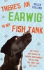 There's an Earwig in my Fish Tank