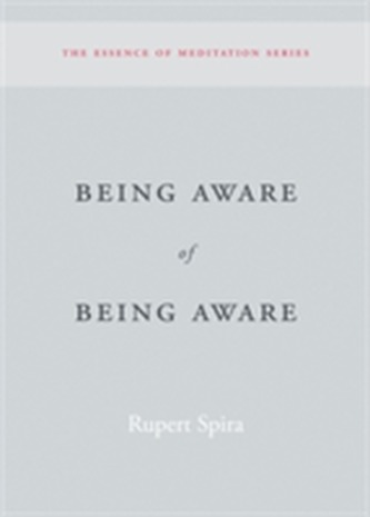 Being Aware of Being Aware