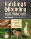 Hatching and Brooding Your Own Chicks