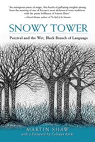 Snowy Tower