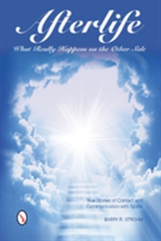 Afterlife -- What Really Happens on the Other Side
