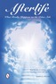 Afterlife -- What Really Happens on the Other Side