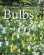 A Gardener's Guide to Bulbs