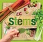 Stems