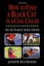 How To Find A Black Cat In A Coal Cellar