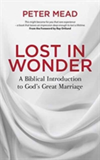 Lost in Wonder