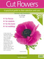 Cut Flowers