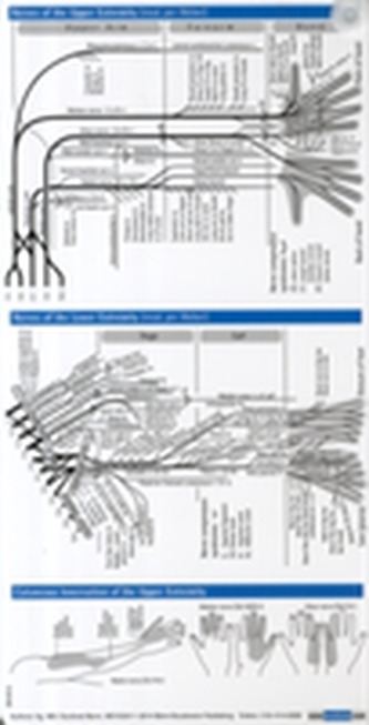 Neurology Pocketcard Set