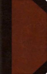 ESV Large Print Thinline Bible