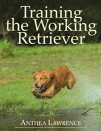 Training the Working Retriever