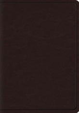 ESV Heirloom Wide Margin Reference Bible