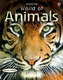World of Animals
