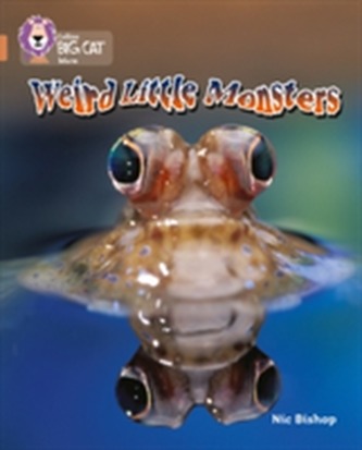 Weird Little Monsters