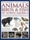 Illustrated Encyclopedia of Animals, Birds and Fish of North America