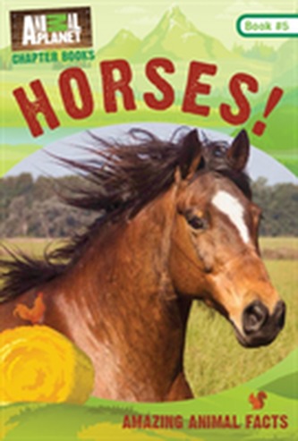 Horses!