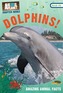 Dolphins!