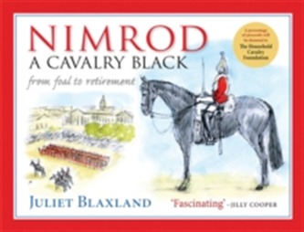 Nimrod: A Cavalry Black