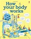 How Your Body Works