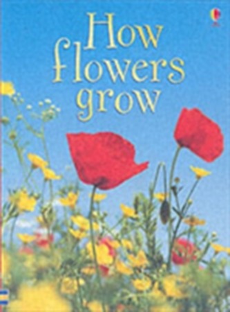 How Flowers Grow