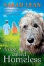 A Dog Called Homeless