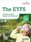 The EYFS: A Practical Guide for Students and Professionals