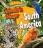 Animals in Danger in South America