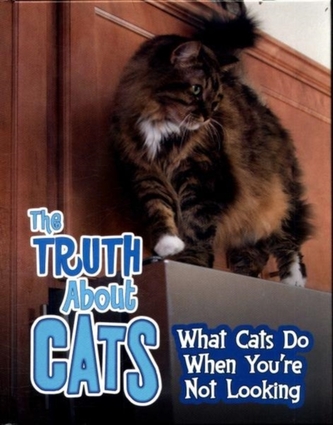 The Truth about Cats