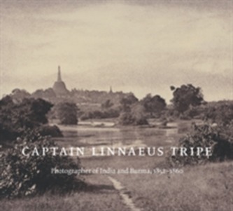 Captain Linnaeus Tripe